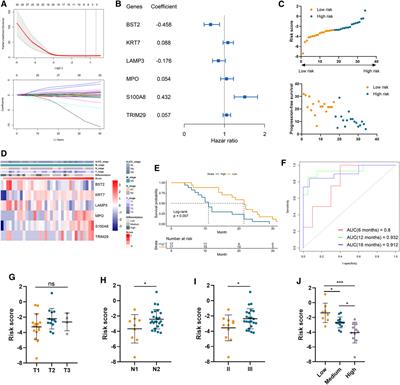 An Immune Panel Signature Predicts Prognosis of Lung Adenocarcinoma Patients and Correlates With Immune Microenvironment